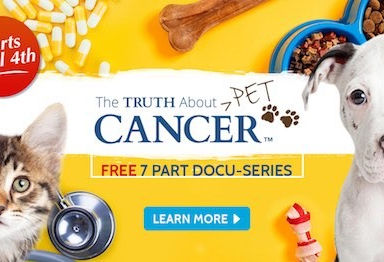The Truth about Pet Cancer
