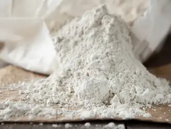 Diatomaceous Earth