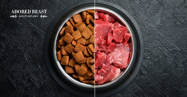 Raw Dog Food vs Kibble: New Research