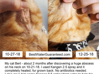 Kangen Water for Your Health and Your Pet's Health