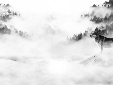 First Ever Ancestral Pre and Probiotics for Dogs: Looking Back to Move Forwardby Julie Anne Lee, DCH RCSHom | Nov 18, 2022