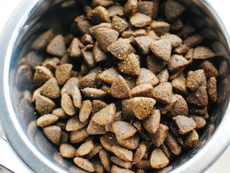 Kibble Proven To Cause Cancer in Dogs
