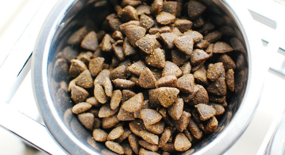Kibble Proven To Cause Cancer in Dogs