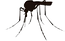mosquito_edited.png