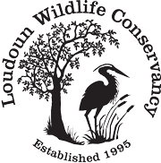 logo.gif