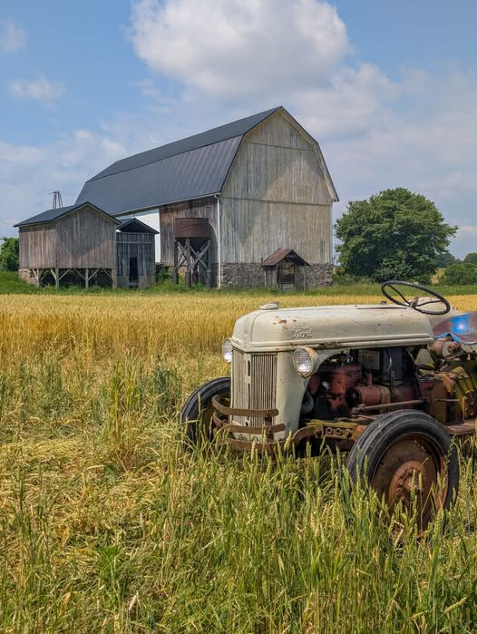 Pittsford: Preservation or Progress