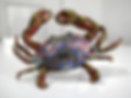 export_b32d7243-0840-454b-ac05-e196b7329331.png