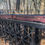 Thumbnail: Broadway Limited complete train 8 cars LN   Cars only, no loco