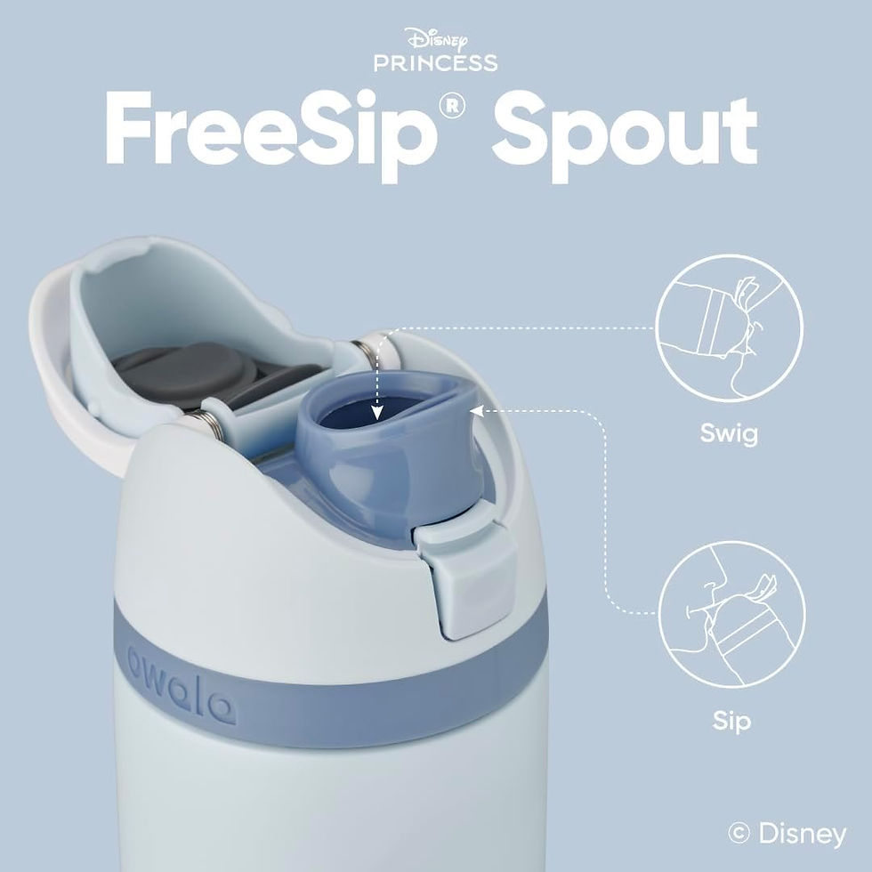 Thumbnail: Owala Disney Princess FreeSip 保溫水樽 24oz - Cinderella 灰藍配色