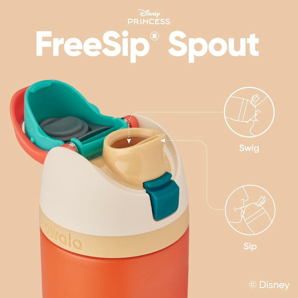 Thumbnail: Owala｜Disney Princess FreeSip 不鏽鋼保冷水樽 24oz｜Moana 莫阿娜