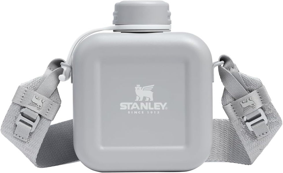 縮圖：Stanley Next x Nature Canteen 水壺 25oz - Ash 霧灰配色