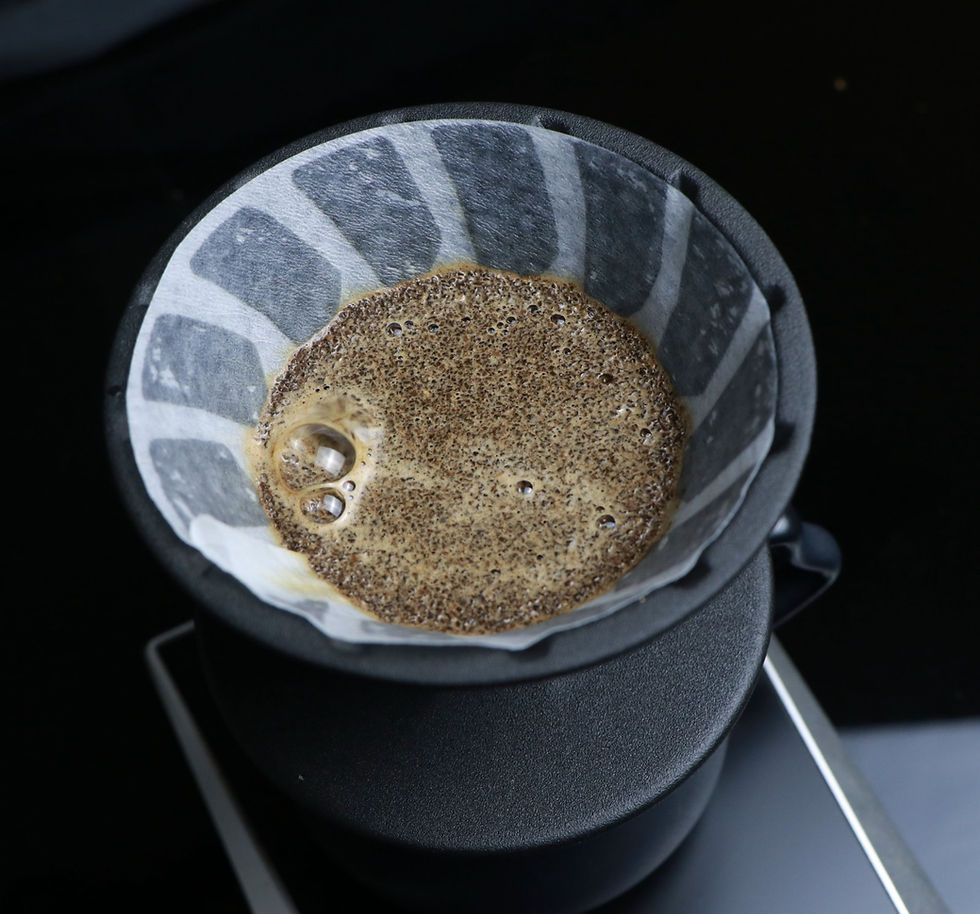 縮圖：HARIO Alpha濾杯注水效果