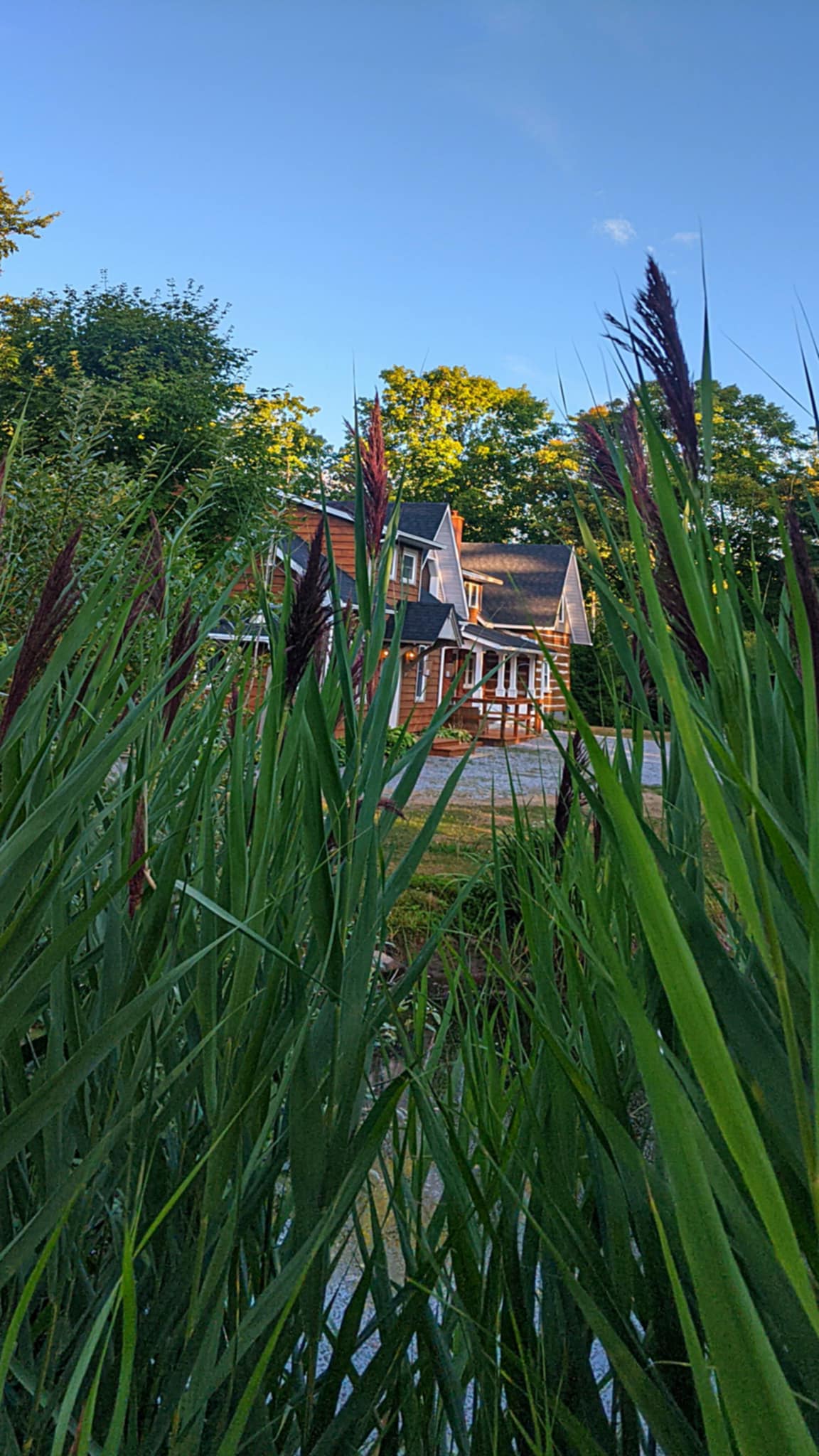 Sports betting addiction support