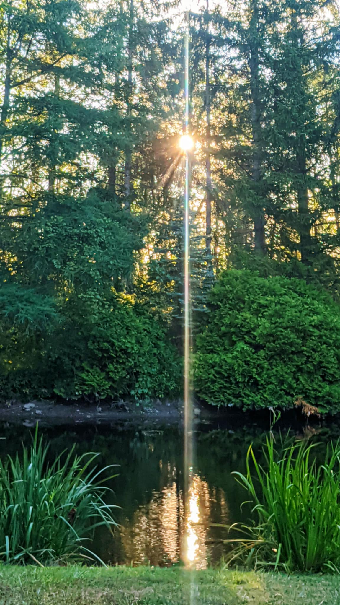 OCD treatment support Ontario