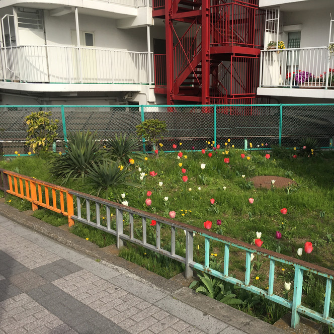 お花マンション