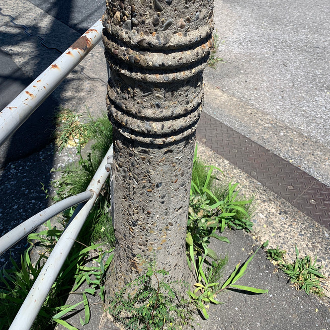 古電柱