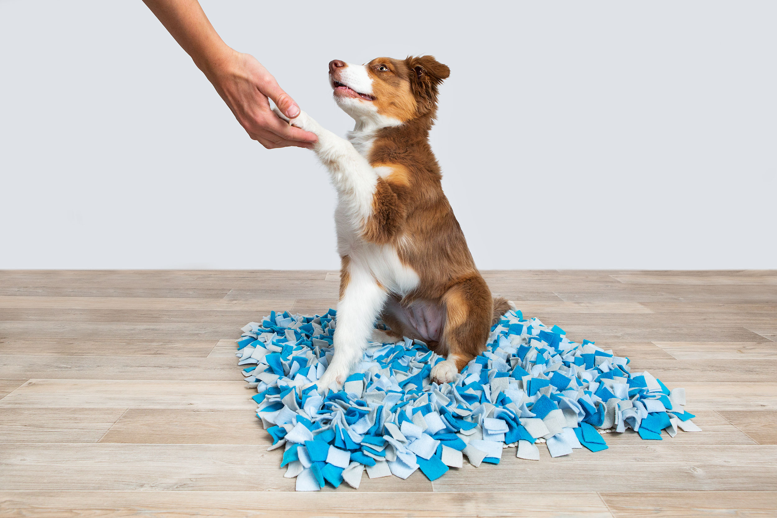 Schnüffelteppich blau-grau