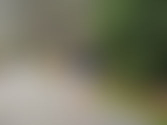 Rethinking Brick Workouts: How Much Do You Really Need?