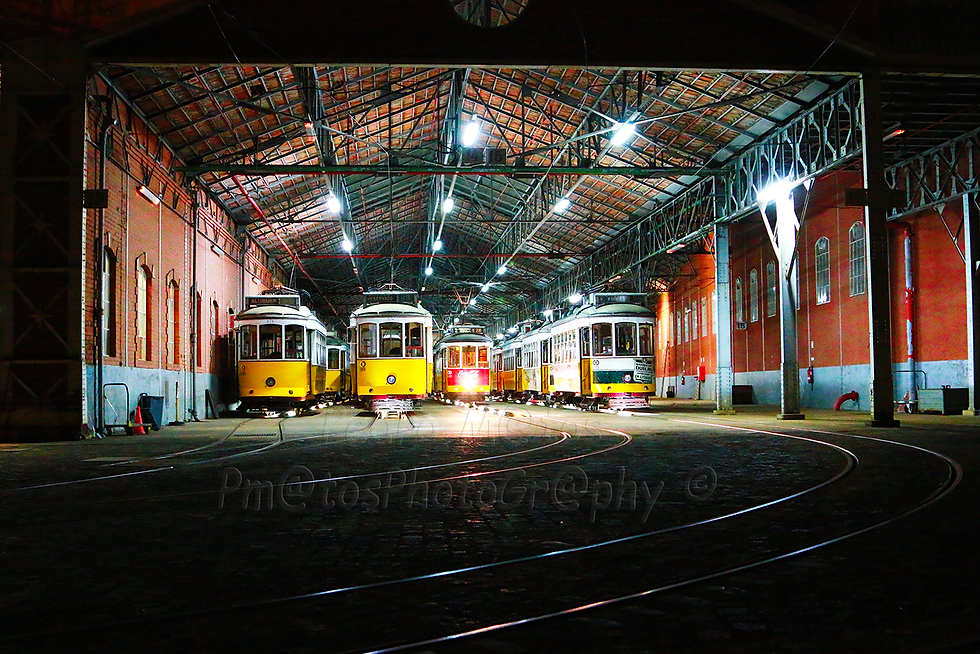 Terminal de Electricos