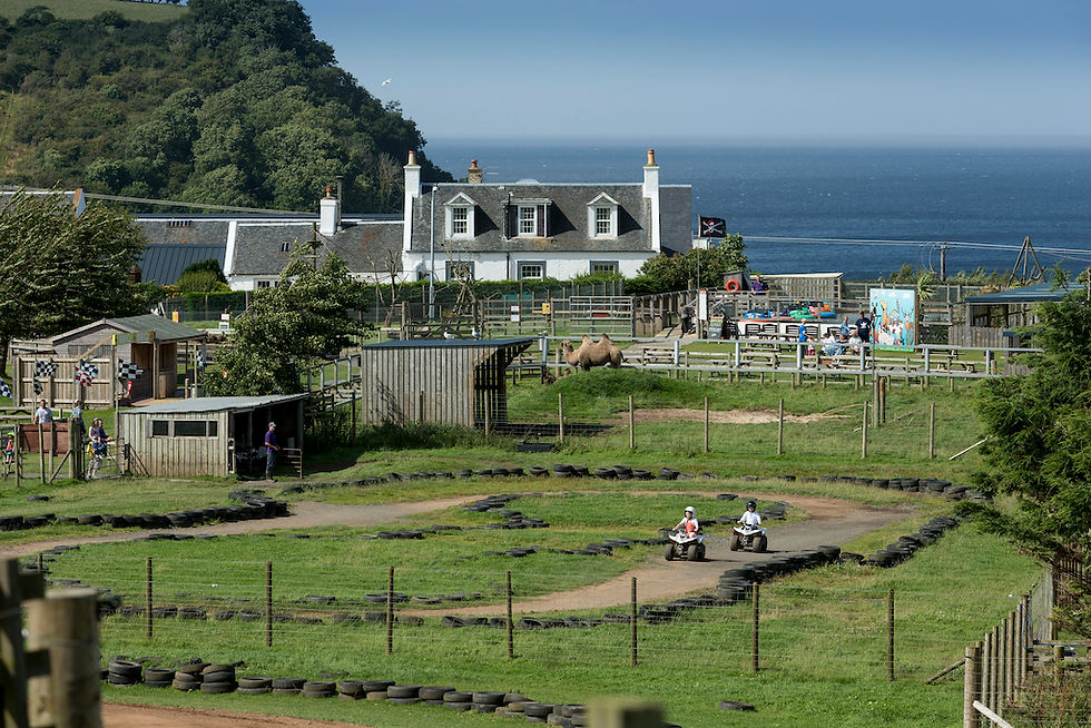 family friendly Heads of Ayr Farm Park in Dunure, Ayrshire