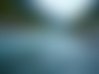 Explore Wild Swimming Destinations in Scotland