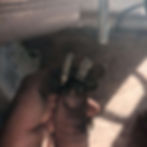 hand holding up two nature inspired rings by Jenti Forest Jewellery