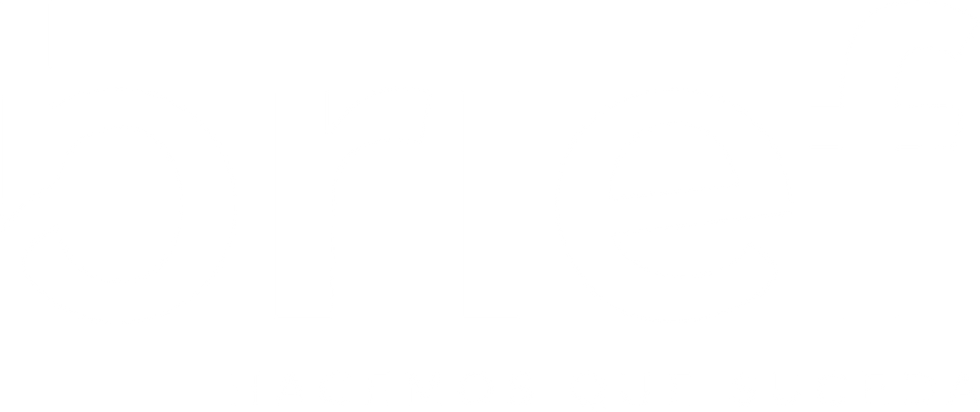 LOGO BIREF bajada (blanco).png
