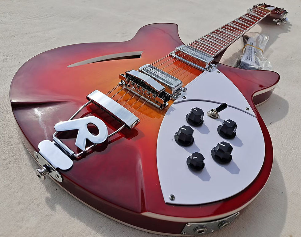 12-string electric guitar Rickenbacker 360 electric guitar, two-piece pickup, hi