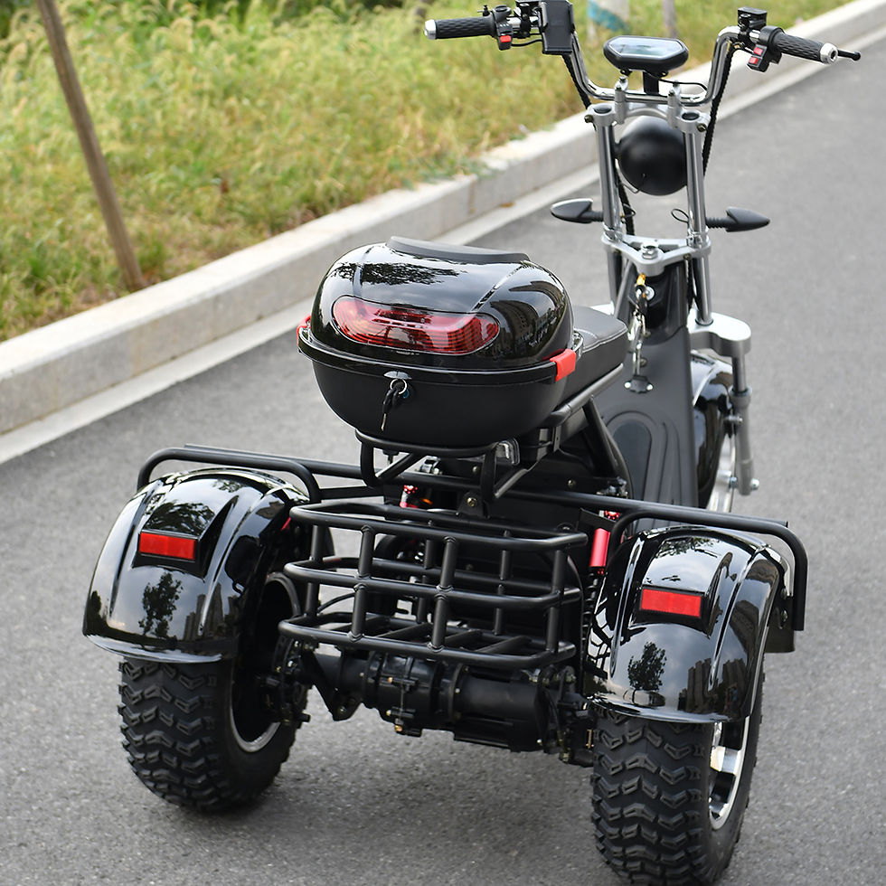 Thumbnail: Adult Electric 3 Wheel Scooter 2000W Motor Max Speed 35-45KM/H Max Load 250KG 18