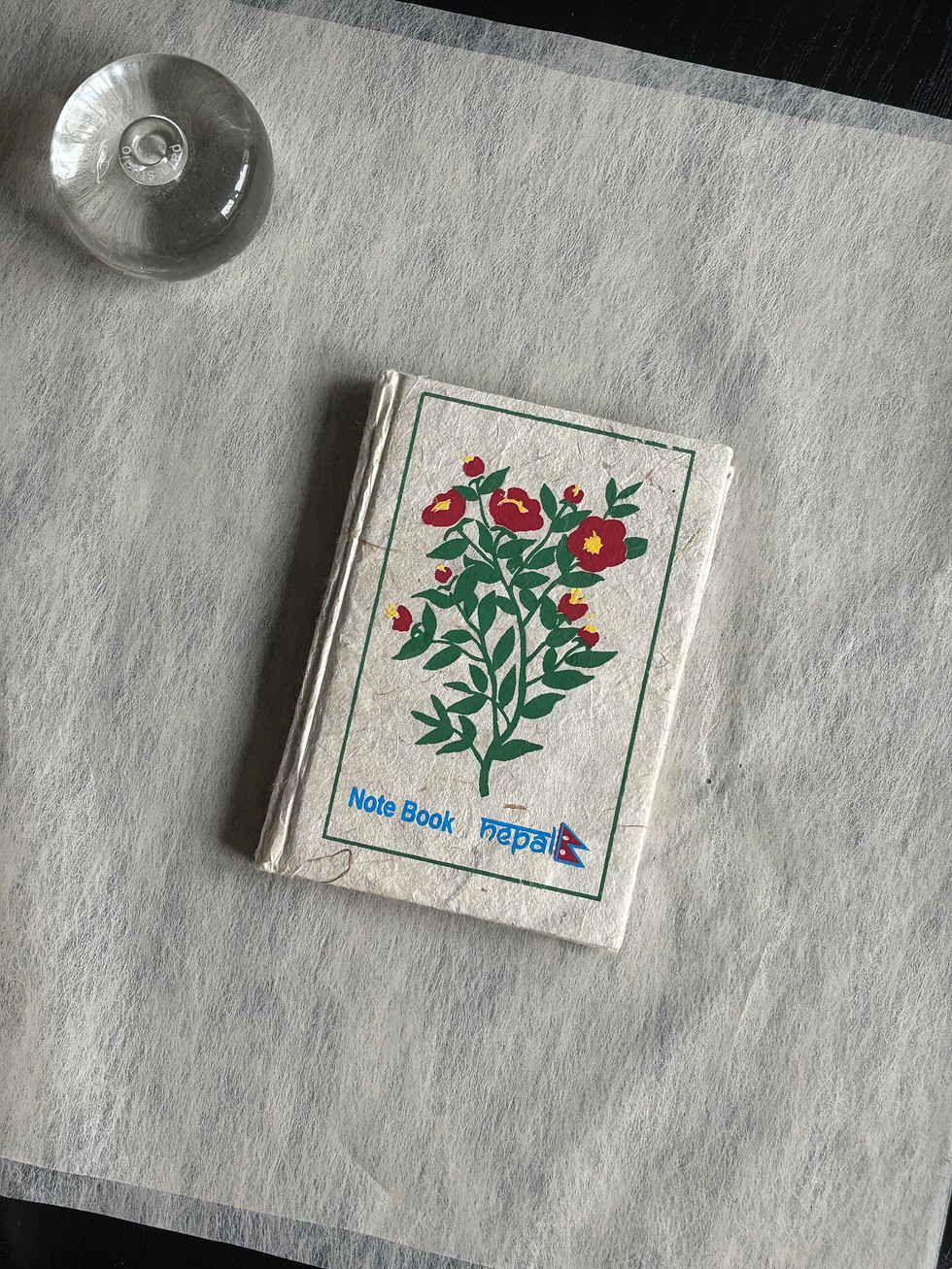 Thumbnail: The Nepal Notebook - Spring