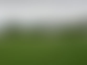 The Hidden Cohesion: How Fielding Reveals Cricket's True Team Soul