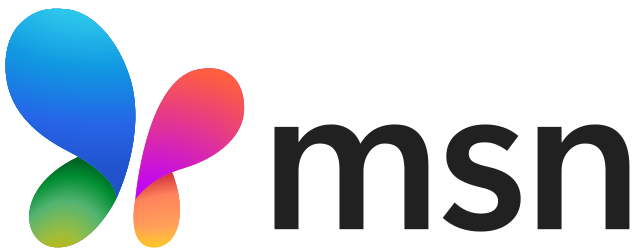 2024_new_msn_logo.svg.png