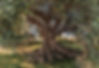 magestic_elia BIG.jpg