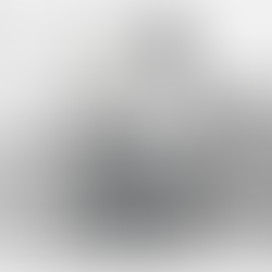 Nonprofit staff reviewing vulnerability scan results