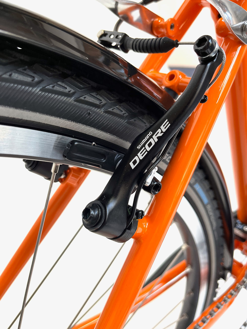 Thumbnail: SKYELANDER 700c WITH FLAT BARS