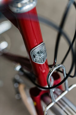 Skyelander 650b randonneur