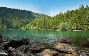 Šumava a Krkonoše