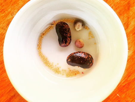 Freed Seeds