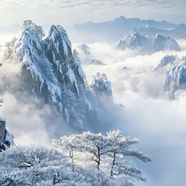 2-Day Classic Summit Tour: Includes an overnight stay on the mountain to witness the sunrise and sunset.

Photography Expedition: A specialized tour focused on capturing the "Sea of Clouds" and the architectural details of the nearby Huizhou villages.

Heritage & Nature Combo: A 4-day trip combining the Huangshan hike with the cultural exploration of Hongcun and Xidi ancient villages.