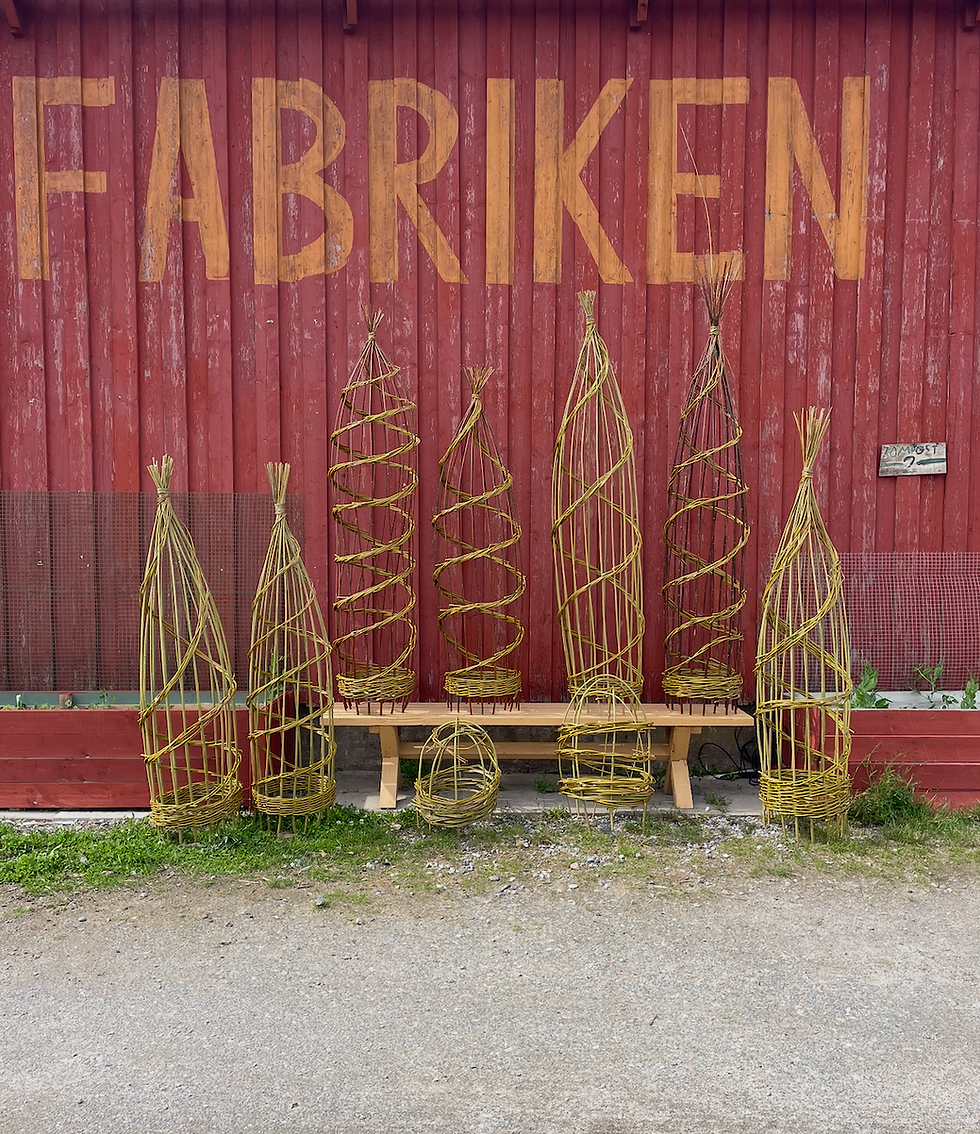 KURS: Willow obelisk workshop