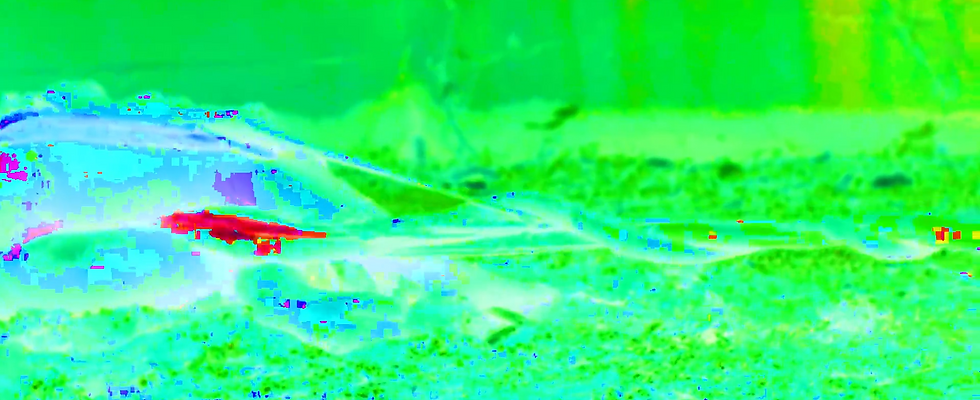 Captura de tela 2024-09-28 131742.png