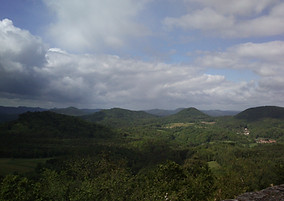Bild einer Lanschaft im Pfälzerwald