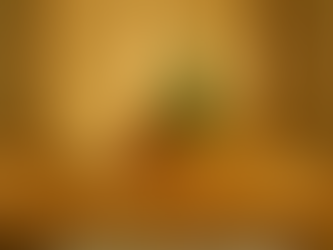 The Christmas Cedar: An Appalachian Family Tradition