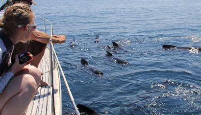 charter sailing gibraltar