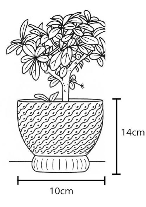 Miniatura: Vasos Jarros Suculentas, Orquídeas, Plantas Artif.