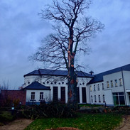 IMG_20191126_164305968.jpeg