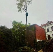 IMG_2064.jpeg
