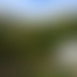 LUJO EN PLENA NATURALEZA.   8 Casas exclusivas  