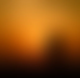 L'identification