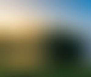 Plénitude de l'instant